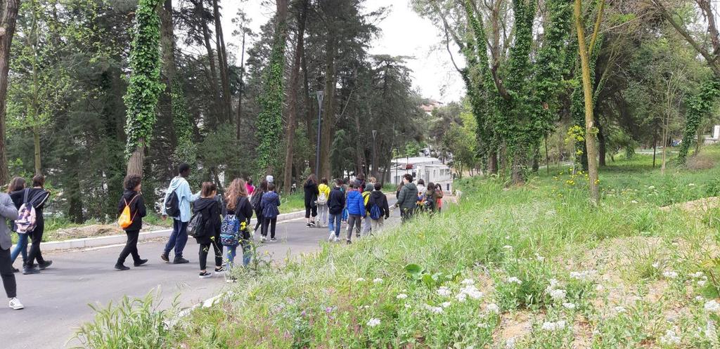 libere verdi e alberate, il parco del Campus si pone in