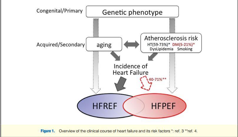 Difficile definire il rimodellamento cardiaco «diabetico» (mancanza di criteri diagnostici, biomarker, documenti di consenso