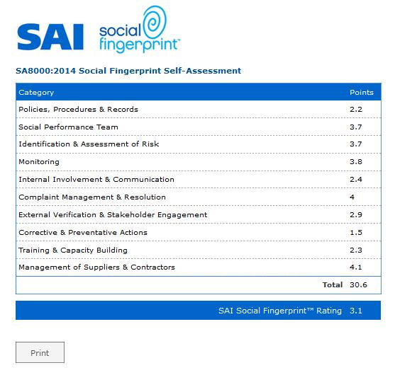 8. Una volta completata l autovalutazione riceverai immediatamente una scheda SA8000:2014 - Social FIngerprint