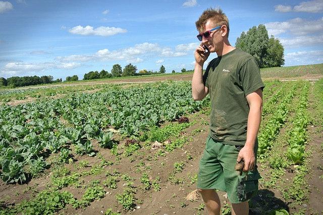 In sintesi, il sostegno intende conseguire i seguenti obiettivi: mantenere i giovani nei territori rurali favorendone l inserimento in imprese agricole vitali; diminuire l età media dei conduttori di