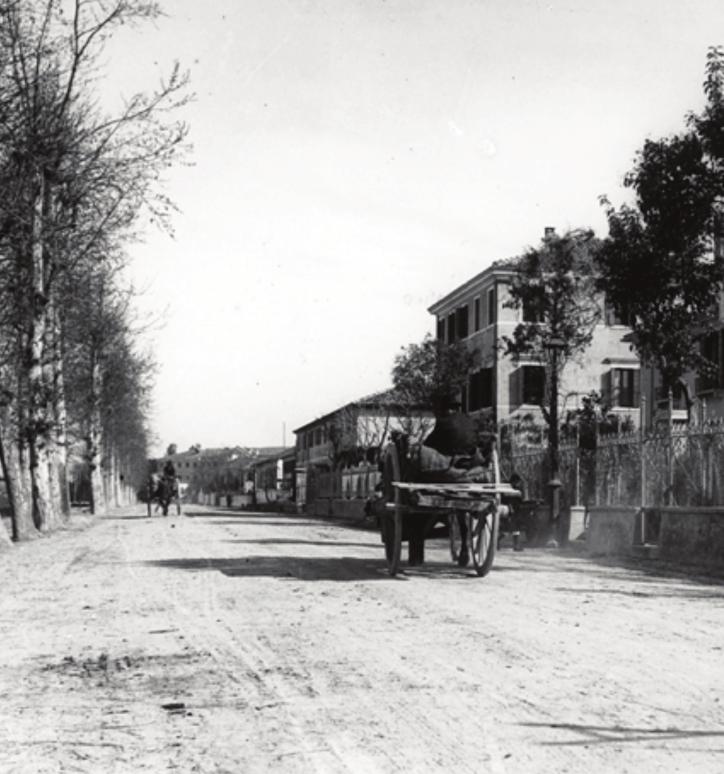 Toniolo_01_28_01_28 08/02/12 13:29 Pagina 5 IL RACCONTO DELLA VITA Giuseppe Toniolo nasce il 7 marzo del 1845 nella città di Treviso che, in quegli anni, fa parte dell Impero asburgico (sarà annessa