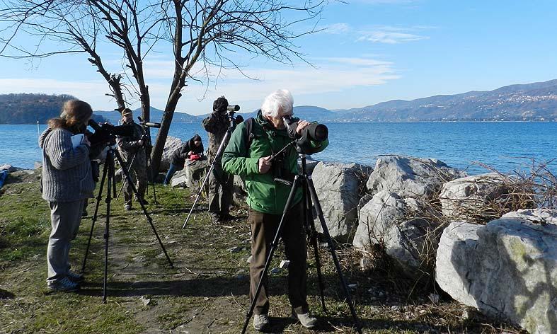 Il 35 International Waterfowl Census in Provincia di Varese A cura di Walter Guenzani e Fabio Saporetti 8 febbraio 2018 Il 35 censimento degli acquatici svernanti è stato un successo: hanno