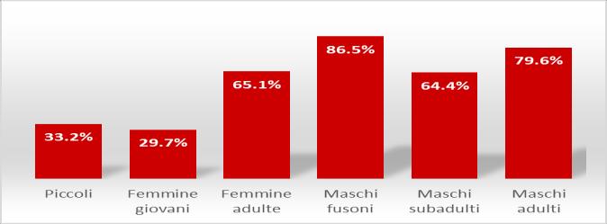 di abbattimento dei fusoni risulta ampiamente soddisfacente (83,9%).