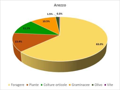Figura n 6 Andamento dei danni da cervo liquidati in Provincia di Arezzo 2000-2017 (* = importi accertati).