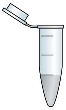 delle cellule La stabilità e l integrità del gene costituiscono fattori critici