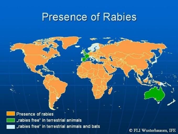 EPIDEMIOLOGIA Gli animali selvatici sono solo serbatoi dell infezione. Gli animali domestici fungono sia da serbatoi che da vettori attraverso cui il virus infetta l uomo.