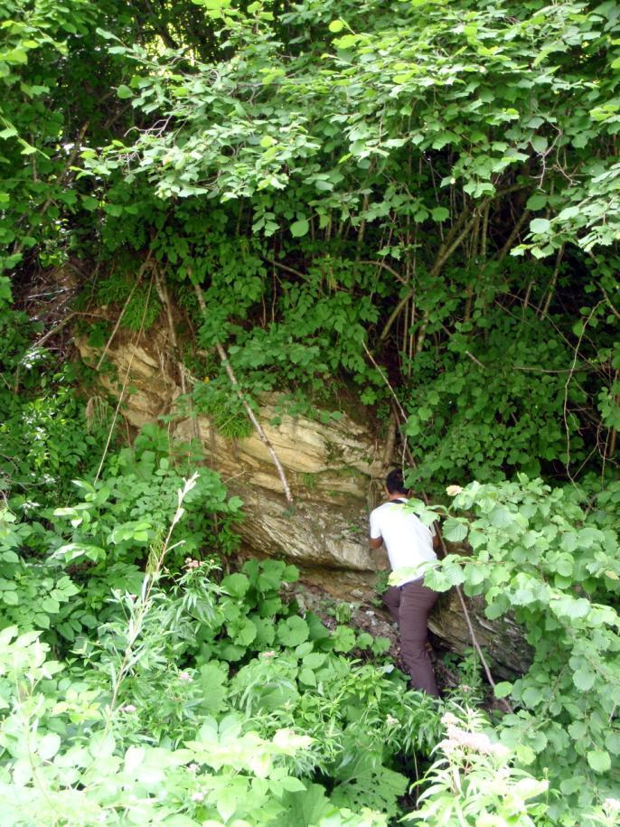 affioramenti lontani Contengono le stesse rocce o