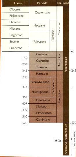 La scala dei tempi geologici 1 4 Unità cronostratigrafiche: serie Oligocene.