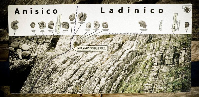 Passaggio Anisico Ladinico, due piani della serie «Triassico medio» appartenenti al sistema