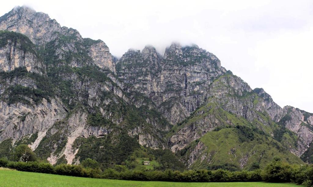 Esempio di rocce sedimentarie piegate Val Cimoliana - Parco