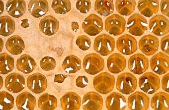 Il miele è prodotto dalle api a partire dal nettare dei fiori che esse trasformano e lasciano maturare nei favi