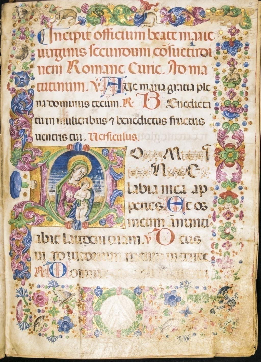 La fortuna della textualis. Es.