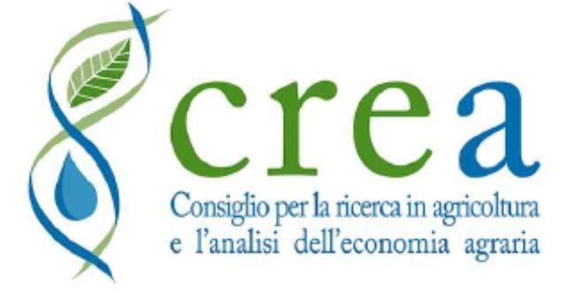 I vitigni resistenti (peronospora e oidio) Sperimentazione nel Lazio: Costituzione di nuove