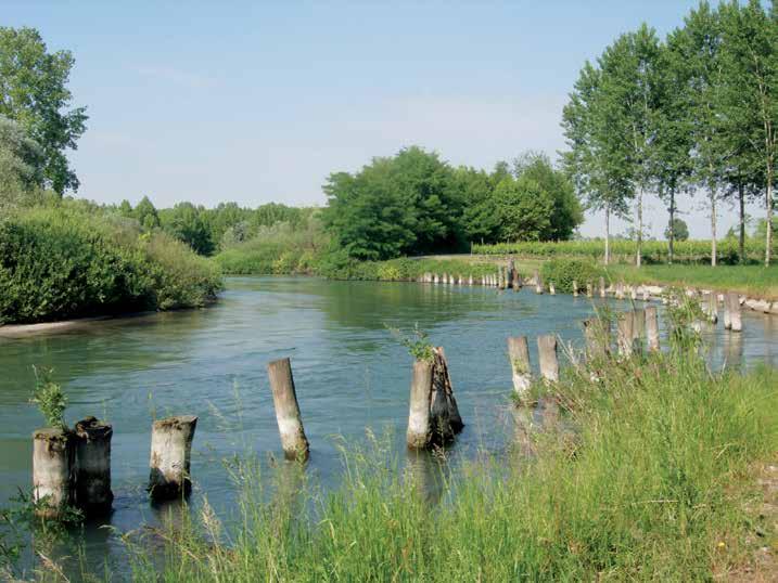 3 53 Il fiume Stella nel paesaggio rurale della Pianura friulana.