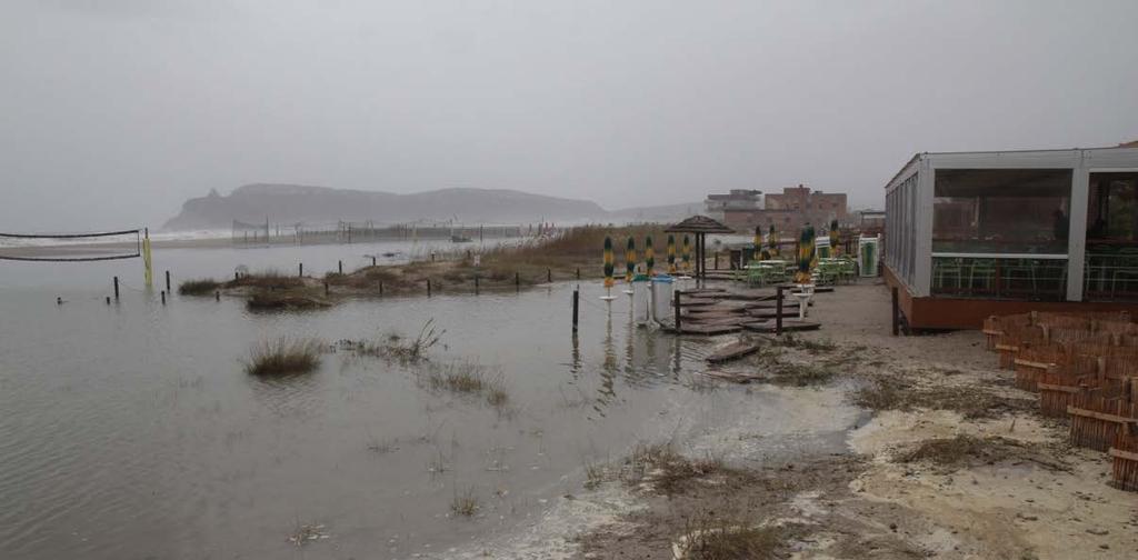 Non rimuovere, ove possibile, la Posidonia spiaggiata (comunemente nota come alga ), le canne, i pezzi di legno e il materiale naturale che il mare o i fiumi accumulano.