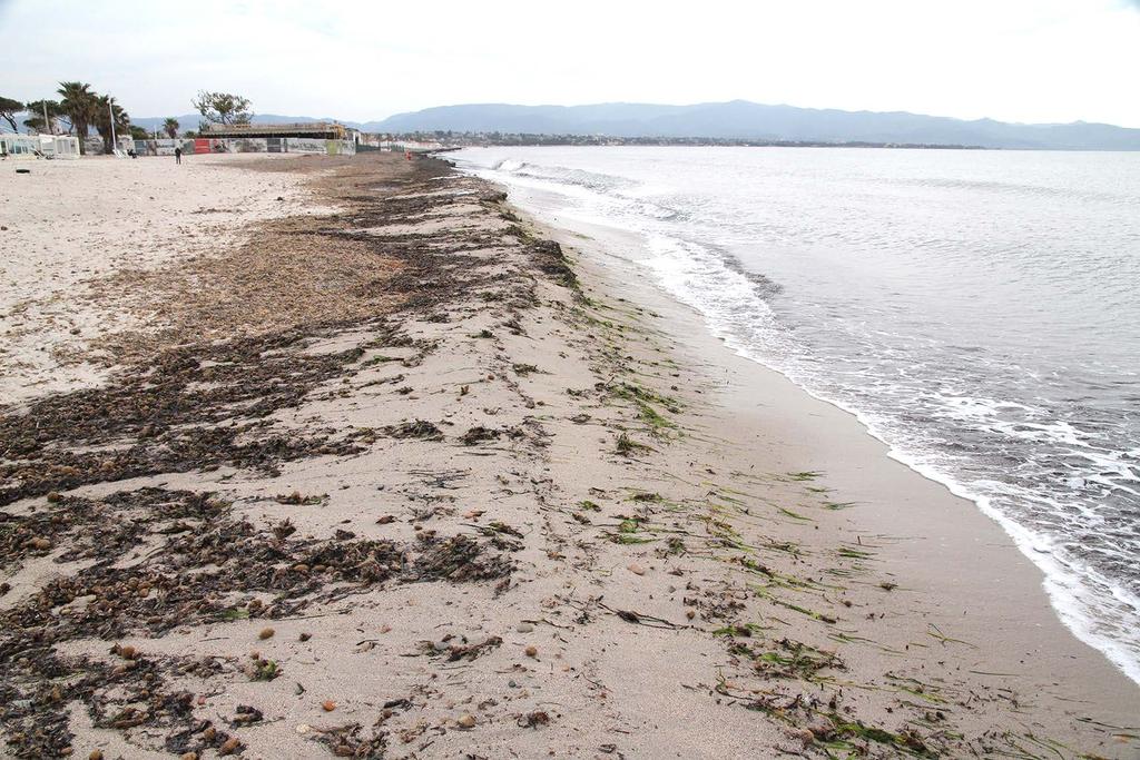 Il sistema SPIAGGIA La spiaggia è costruita e continuamente modellata da vento, onde e correnti. Cambia forma e assetto granulometrico anche in poche ore.