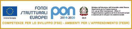 per l attuazione di progetti formativi d intesa con enti ed istituzioni esterni alla scuola, la risorsa fondamentale è costituita dal patrimonio professionale dei docenti.