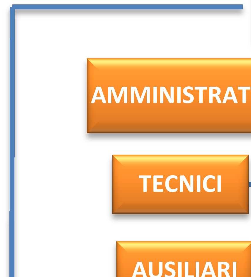 DI CLASSE DIRETTORI DI LABORATORIO DOCENTI COLLABORATORI RSPP FUNZIONI