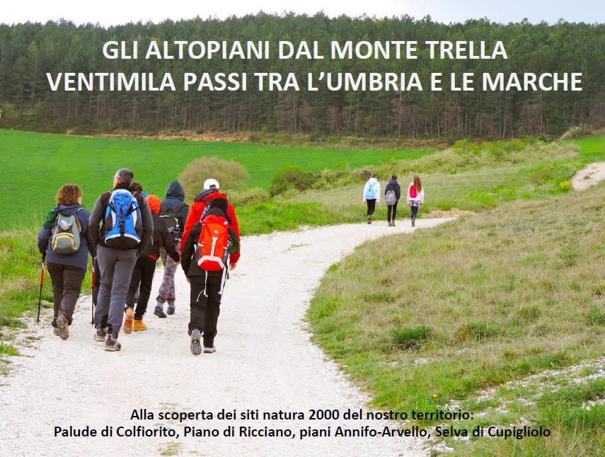 Per la categoria Medie si sono aggiudicati il premio gli alunni della classe III della scuola secondaria di primo grado di Colfiorito con l ideazione di un itinerario sugli Altipiani del Monte Trella