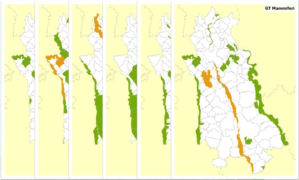 ecologici a livello di ecoregione o continentale Presenza di endemismi Presenza di specie della Direttiva Uccelli Presenza di specie d