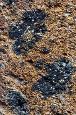 Prodotto dei flussi piroclastici: tufi litoidi Roccia piroclastica litificata attraverso un processo di zeolitizzazione della matrice cineritica Tufo rosso a scorie nere Matrice: cenere vulcanica