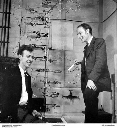 Watson and Crick in