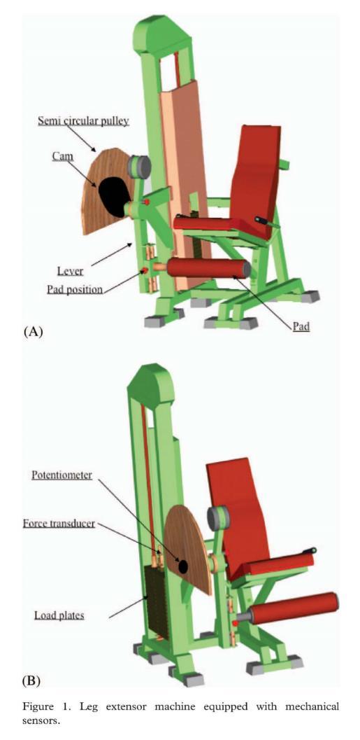 Leg Extension equipaggiata con pulley