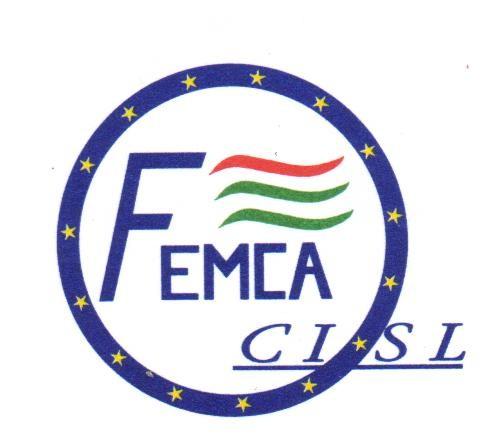 PROPOSTE DELLA FEMCA CISL PER IL RINNOVO CONTRATTUALE: PER GLI