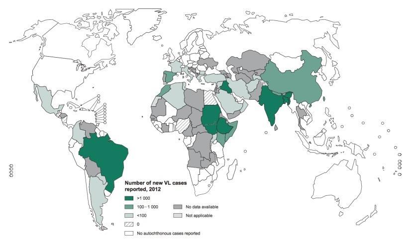 29 La distribuzione del parassita non è omogenea e si concentra all interno di zone definite focolai d infezione.