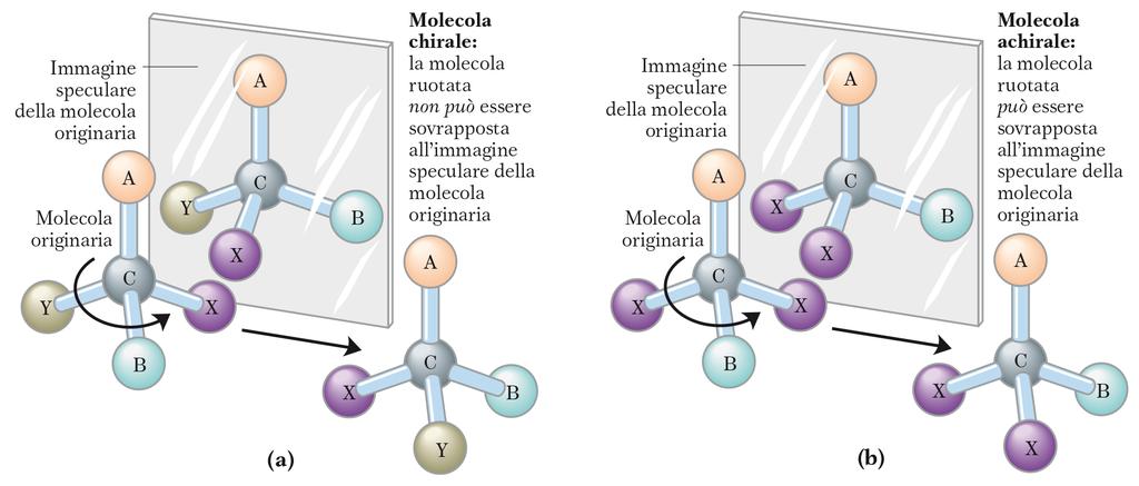 Nelson Cox, I PRINCIPI DI BIOCHIMICA DI