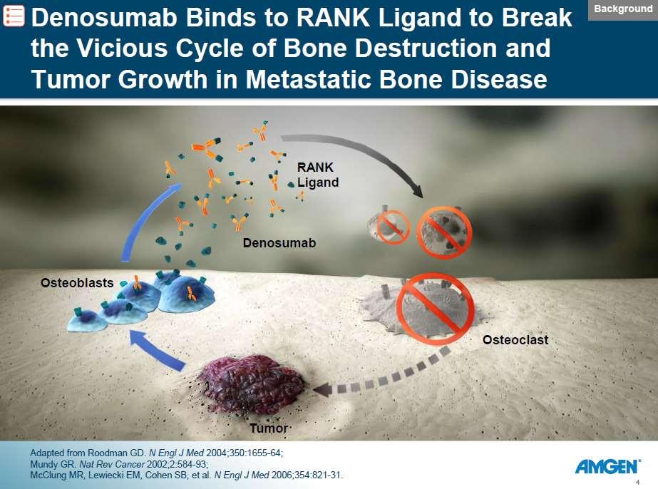 RANK Ligand Activated osteoclasts Osteoblasts Growth factors (eg, TNF,