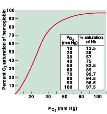 Ampi cambiamenti della PO2 nella porzione arteriosa della curva causano solo minime variazioni della saturazione dell emoglobina emoglobina Mentre anche solo un piccolo decremento
