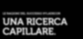 RICERCA CAPILLARE.