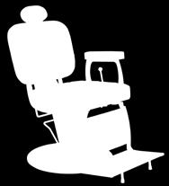 18 BEAUTY BARBER CHAIR