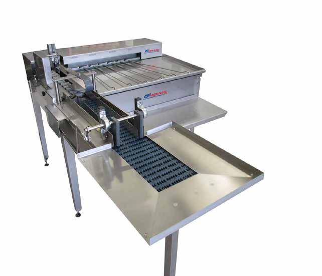 Egg Grader S31 Special module in line feeding conveyor for the direct