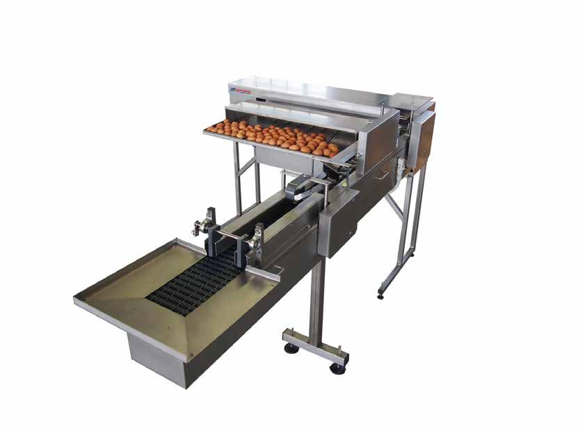 Egg Grader S31 XL Special module in line feeding conveyor for the direct supply from the belt coming from the cages, complete with automatic egg