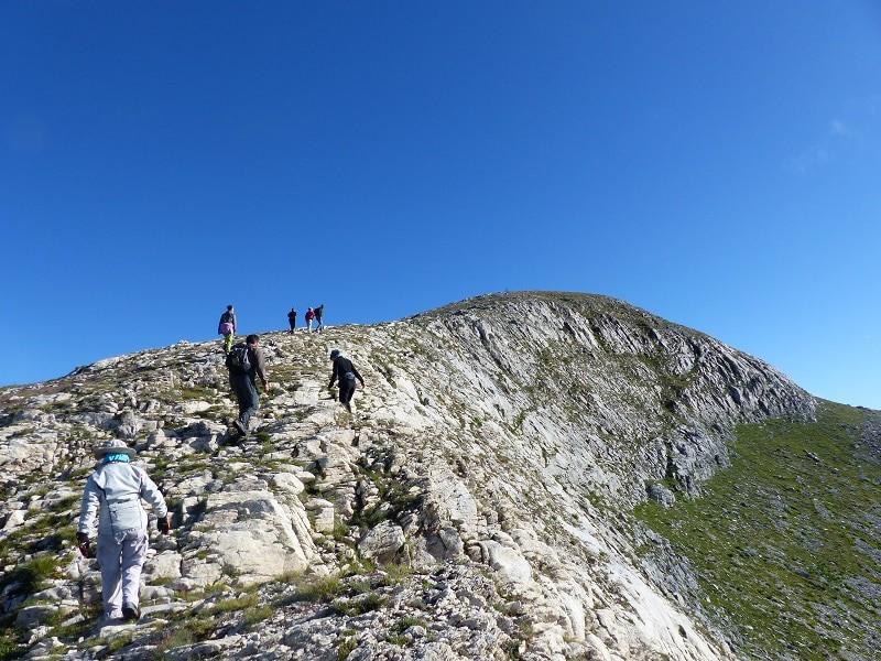 ViaggiEmiraggi PIEMONTE, trekking sulle tracce del lupo Quando nelle lunghe notti gelate levava il muso alle stelle gettando