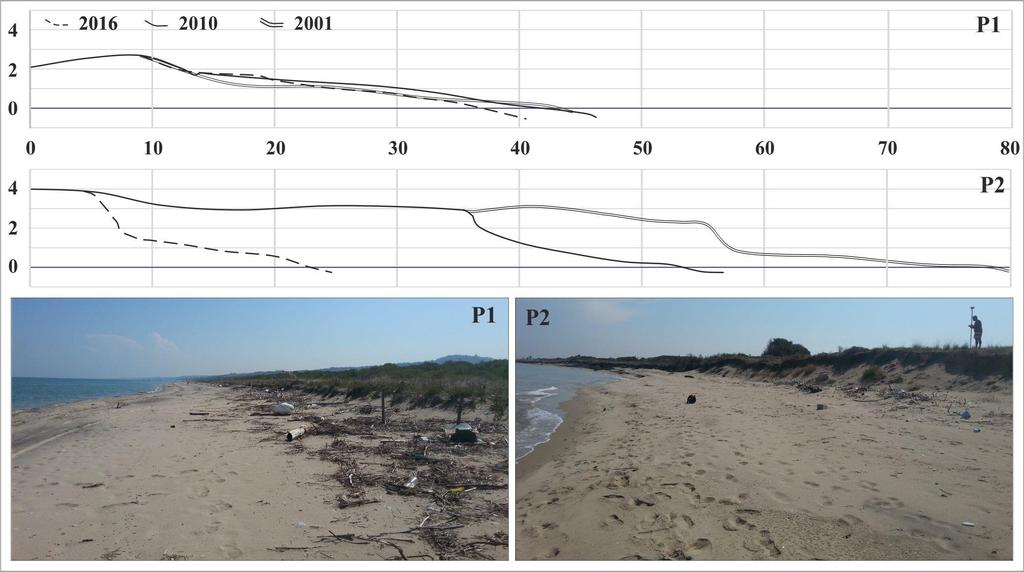 Stato della Costa Molisana Evoluzione della costa molisana nel breve periodo Nel corso degli ultimi venti anni, l erosione ha ulteriormente