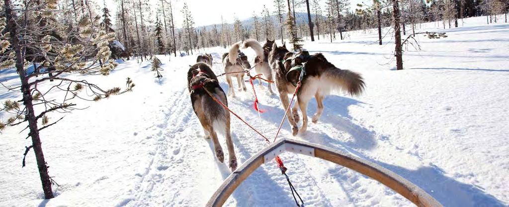 FINLANDIA AURORA BOREALE E HUSKY SAFARI DAL 06 FEBBRAIO AL 24 MARZO 2020 1.