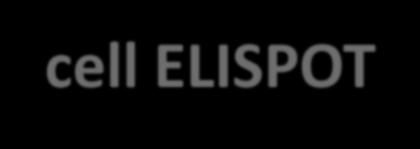 B-cell ELISPOT