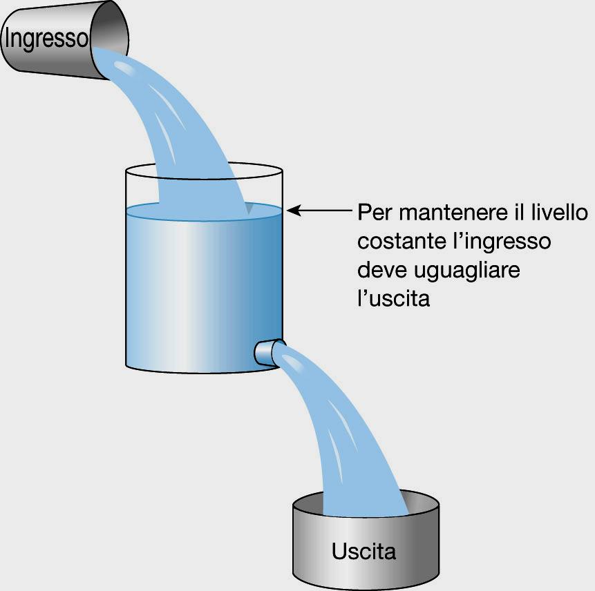 Legge dell Equilibrio di Massa Se la quantità di