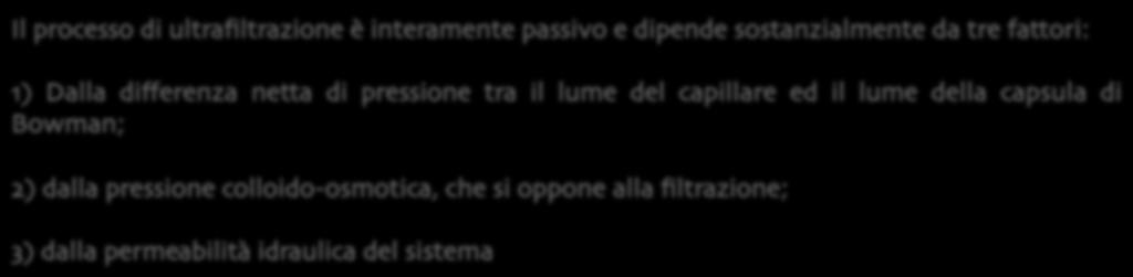 lume del capillare ed il lume della capsula di Bowman; 2) dalla pressione