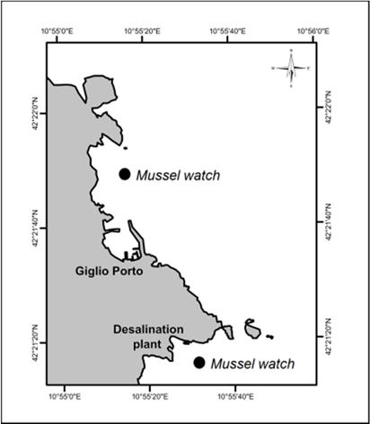 WP9: SITE REMEDIATION nelle due stazioni adibite al "Mussel Watch" (Cannelle e Cala della Ficaiaccia). I campioni vengono inviati ai laboratori di Livorno per le analisi sul bioaccumulo di inquinanti.