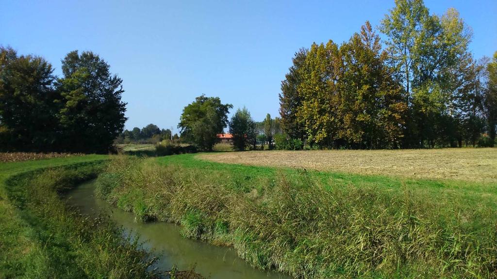 Marzenego alla Rocca di Noale (VE).