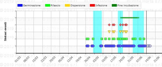 ANDAMENTO DELLE PRINCIPALI AVVERSITA Peronospora - Plasmopara