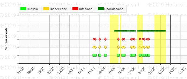 Oidio - Erysiphe necator [Schwein]. Grafico 4: Analisi DSS (Modello Vite.