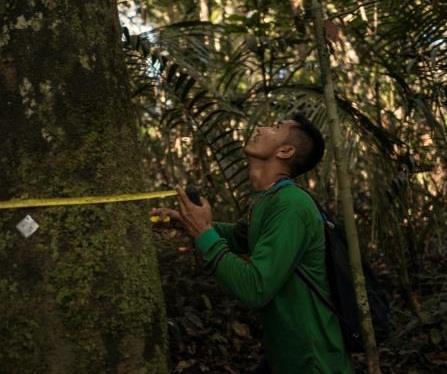 L obiettivo del progetto è la conservazione e la tutela di 560 ettari, ovvero l 80% della foresta oggetto dell intervento data in