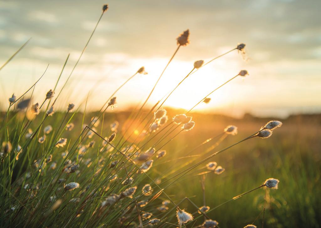 Il nostro impegno per l ambiente Ci impegniamo costantemente nella promozione dell efficienza energetica e delle energie rinnovabili, realizzando progetti rispettosi dell ambiente e del benessere dei