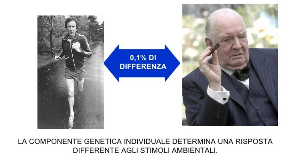 Variabilità genetica e Medicina di precisione Il genoma di una persona presenta piccole (1 base