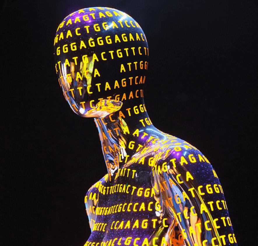 A differenza della Genetica, che guarda ad uno o pochi geni, la Genomica fornisce pertanto un immagine complessiva del corredo
